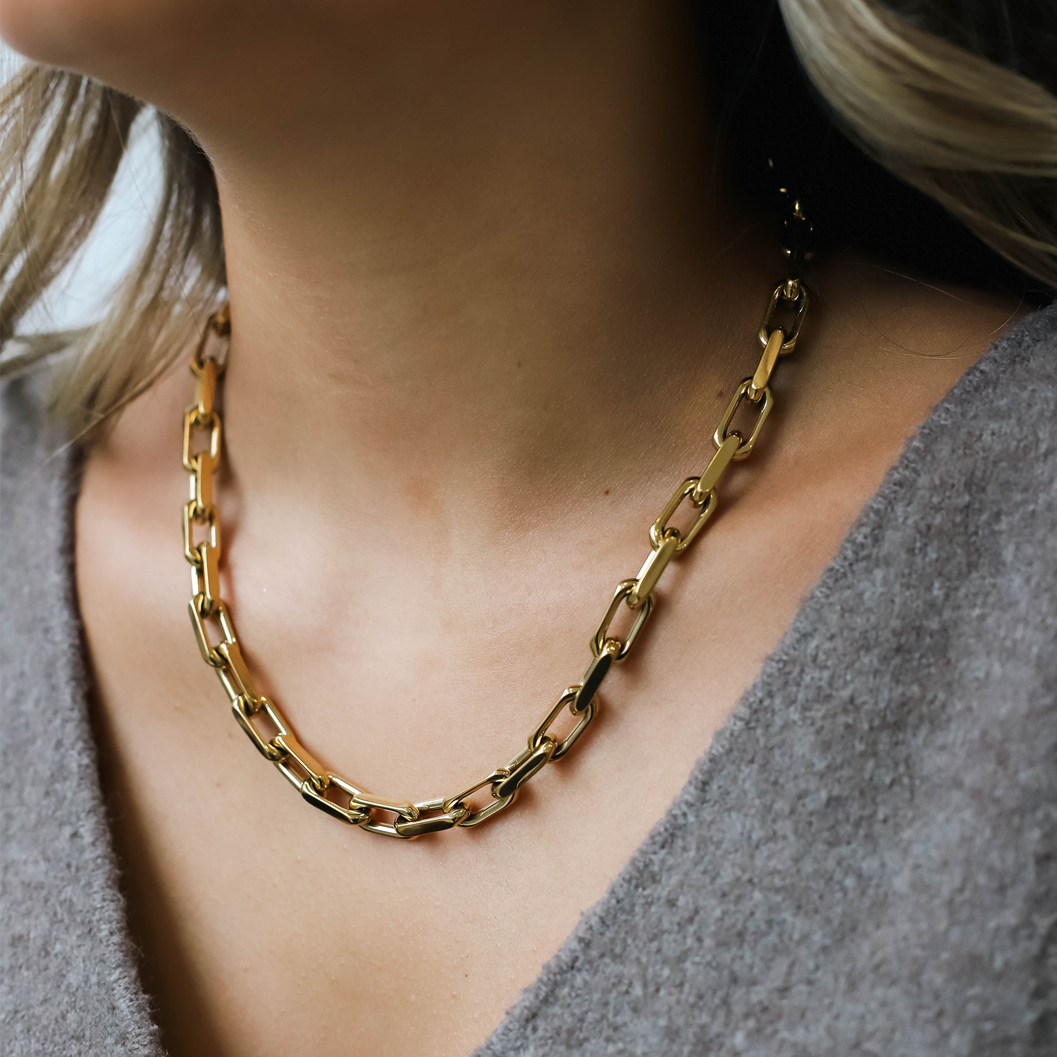 CHAIN LINK. necklace