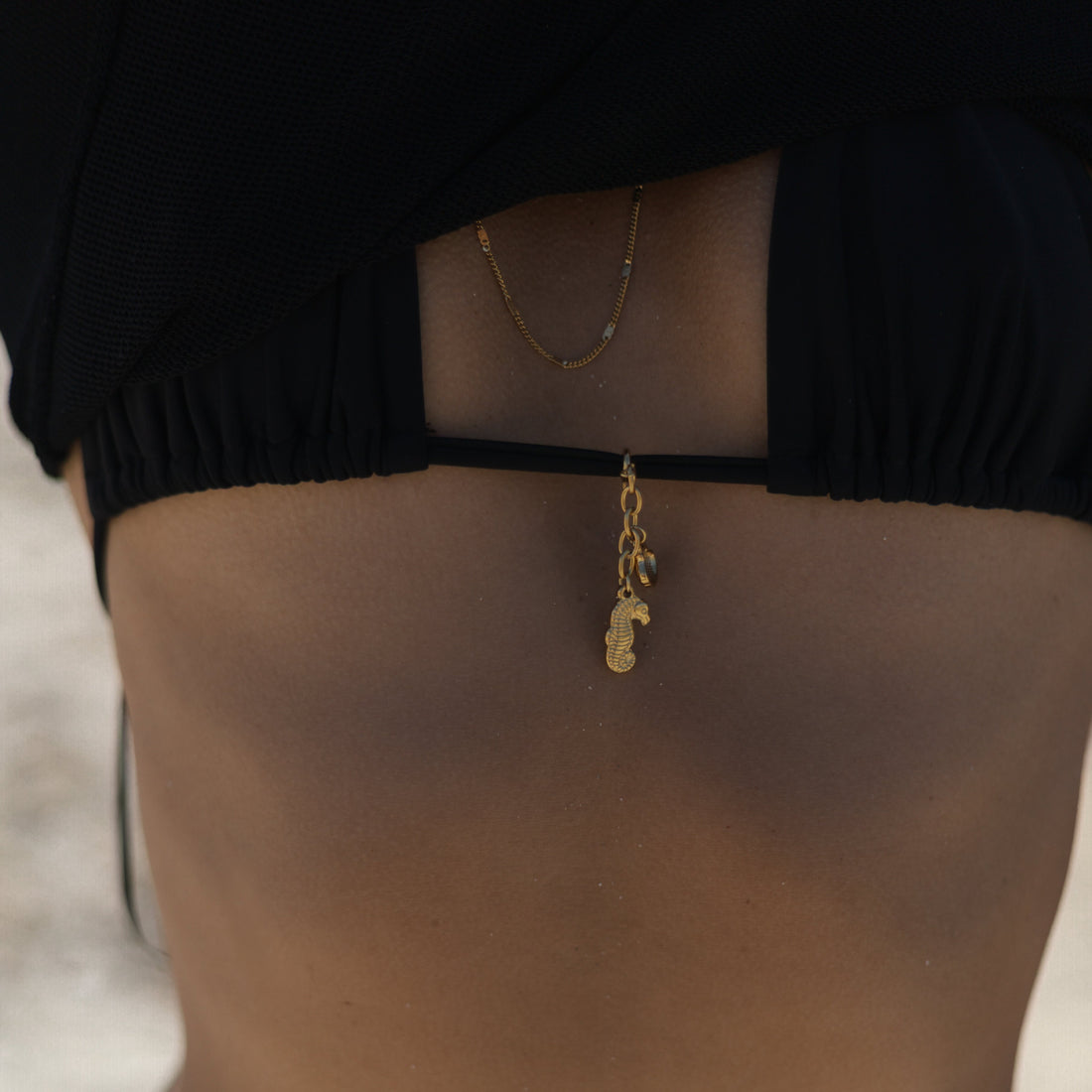SEAHORSE.