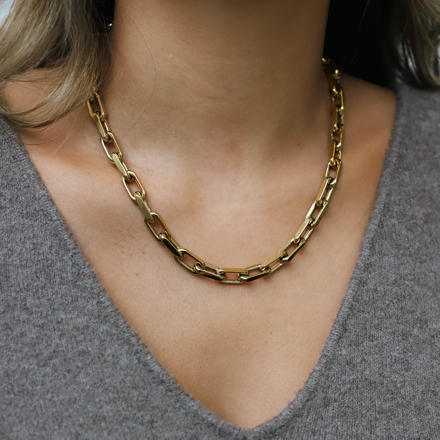 CHAIN LINK. necklace